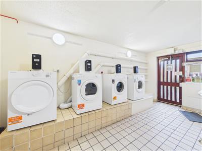 Picture 20